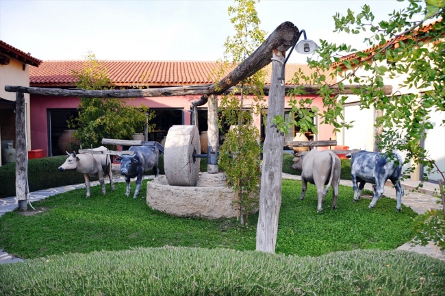 Emekli öğretmen çiftin zeytin merakı müzeye dönüştü